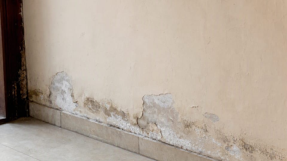 The lower part of an interior wall with a damp patch, peeling paint and white salt deposits near the skirting